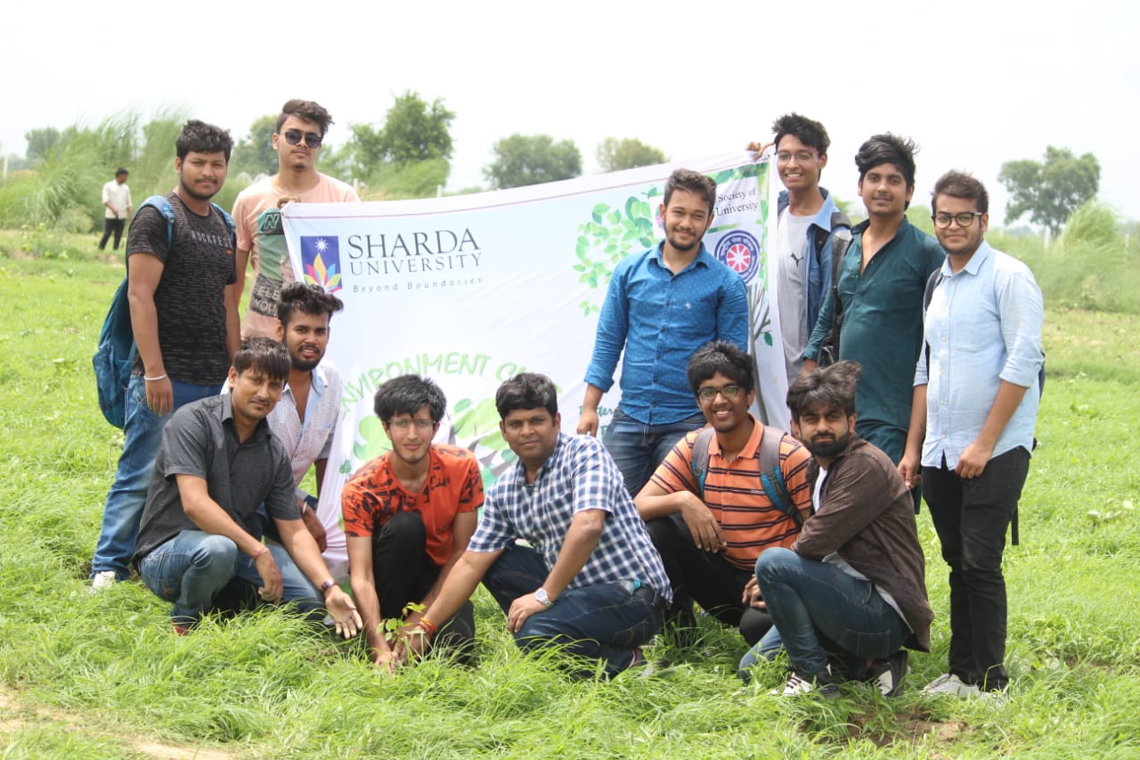 Plantation Drive (AUG) 2019