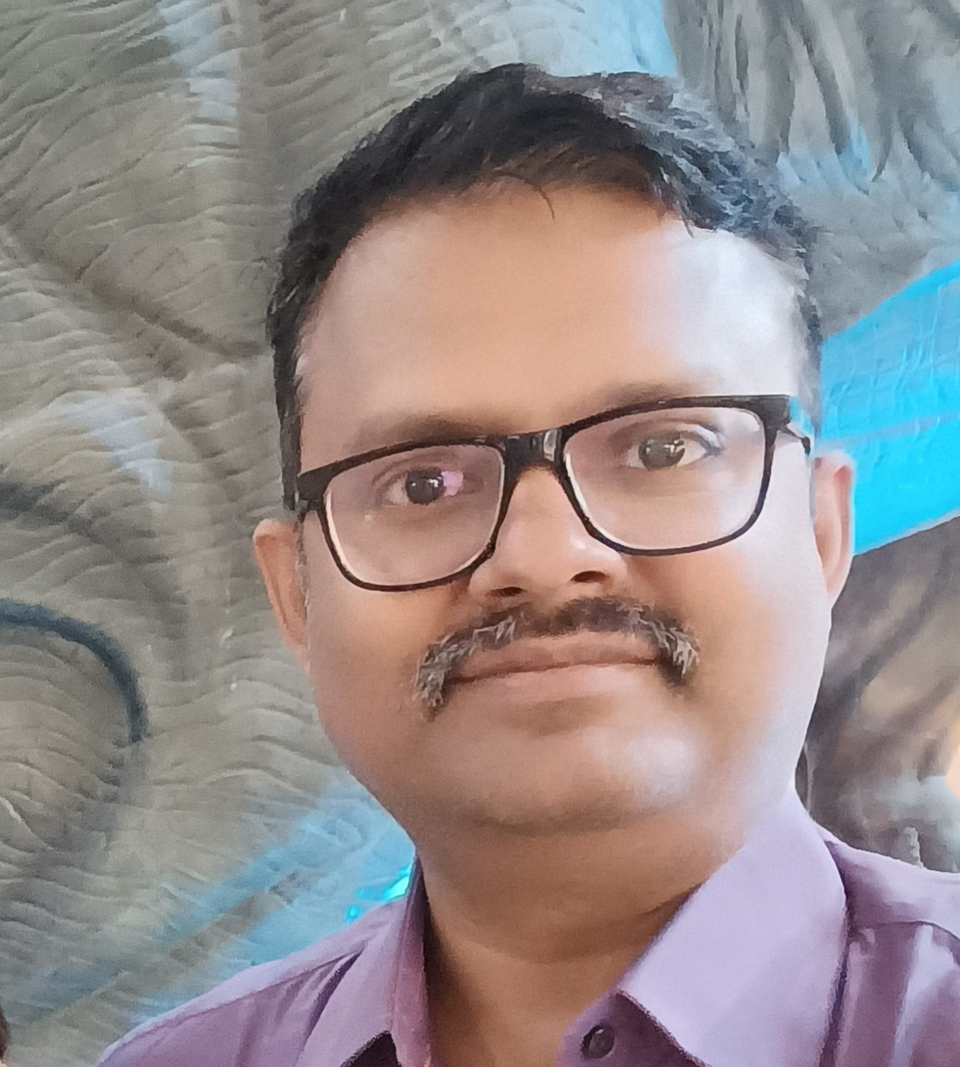 Mr Neeraj Goel