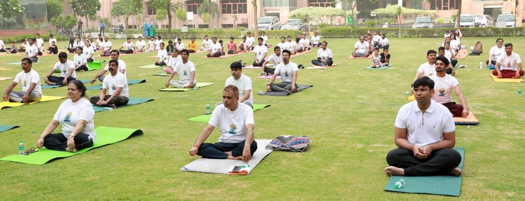 International Yoga Day at Sharda University