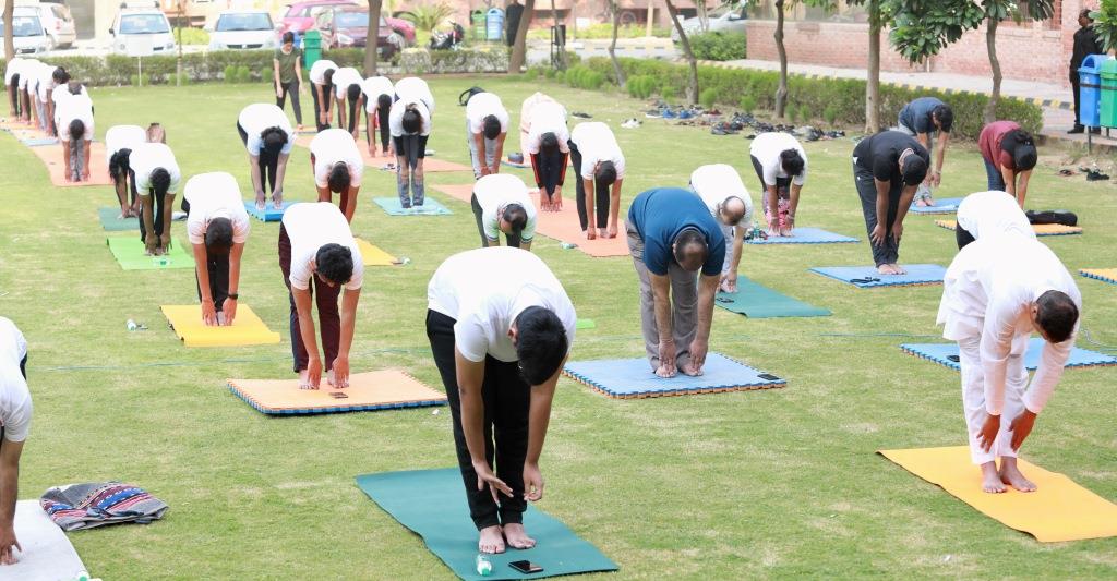 International Yoga Day at Sharda University