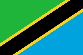 Tanzania Flag