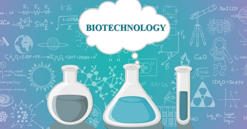 scope of phd biotechnology in india