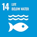Sharda University IoE SDG 14: Life Below Water